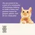 We are proud to be a part of a community of businesses helping to build a fairer and greener future for people, planet, and pets. Certified B Corporation.