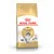 Royal Canin Adult Norwegian Forest Cat kattenvoer, afbeelding van Noorse boskat op de verpakking, tekst: 'Feline Breed Nutrition', zichtbaar brokvormpictogram.