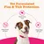 Zesty Paws Flea & Tick Shampoo - 250ml
