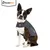 Animal wearing a grey ThunderShirt garment, demonstrating how the product fits and is worn. ThunderShirt branding visible on chest and side of the garment.
