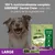 GREENIES Dental Chew Large 23 kg+, paquete de 4 unidades. Made with Natural Ingredients. Dental Treats: ayuda a reducir placa y sarro, desarrollado con veterinarios, 100 % completo.