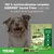 GREENIES Dental Chew Teenie 2–7 kg, Dental Treats, Made with Natural Ingredients, x22. Texto: 100 % nutricionalmente completo. Imagen de perro y envase visible.