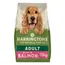Harringtons Complete Adult Dog - Rich in Salmon & Potato - Economy Pack: 2 x 12kg
