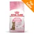 Royal Canin Kitten Sterilised 6–12 months, immagine confezione con gattino e scritta Top Seller in alto a destra