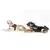 Two dogs wearing Julius-K9 dog harnesses in black, lying on a white background.