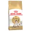 Royal Canin Siamese Adult - Multibuy: 2 x 10kg