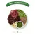 Bowl with raw lamb pieces, peas, lentils, diced apple, chopped herbs and dark red chunks. Banner above reads 'Key Ingredients'. No brand or product name visible.