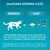 Zalecana dzienna ilość dla kota 4 kg: 20 g karmy suchej plus Purina One 2×85 g. Dla dorosłego kota 4 kg zaleca się 2–3 saszetki dziennie w co najmniej 2 posiłkach.