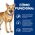 Text în limba spaniolă: Cómo funciona. Fórmula muy fácil de digerir para favorecer la absorción de nutrientes. Compuesto prebiótico excepcional para fomentar la actividad de las bacterias intestinales beneficiosas. Altos niveles de electrolitos y vitaminas B; Antioxidantes clínicamente probados.