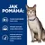 Jak pomáhá: Pomáhá chránit důležité funkce ledvin, stimuluje chuť k jídlu, zvyšuje příjem potravy, podporuje schopnost budovat a udržovat svalovou hmotu. Kočka s modrým obojkem.