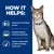 How it helps: protects vital kidney function, stimulates appetite and increases food intake, supports natural ability to build and maintain muscle mass. Cat shown beside benefits list.
