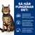 Så här fungerar det: Specialsammansatt fiberteknologi med dubbelverkande rengöring, foderbitens unika storlek och konsistens, komplett och balanserad nutrition med antioxidanter.
