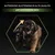 Nutrizione quotidiana di alta qualità per una crescita sana, testo su immagine con due cuccioli e una freccia verso l'alto.