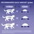 Recommended daily food amounts: 2-4kg cat needs 25-55g, 4-6kg needs 55-80g, 6-8kg needs 80-110g. Adjust for activity and condition. Fresh water should always be available.