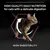 HIGH QUALITY DAILY NUTRITION for cats with a delicate digestion. HIGH DIGESTIBILITY.