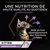 UNE NUTRITION DE HAUTE QUALITÉ AU QUOTIDIEN. Aide au bon développement des fonctions vitales. KITTEN HEALTHY START.