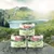 Trois boîtes Purizon Chicken Fillet with Lamb & Salmon Adult Cats 200 g, texte visible : 45 % chicken fillet. Étiquette en anglais.