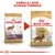 Ambalaj vechi și nou pentru Royal Canin Adult Cocker, cu textul „AMBALAJ NOU, ACEEAȘI FORMULĂ” deasupra. Ambele pungi prezintă un câine Cocker și informații despre produs.