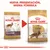 Comparativa de dos envases de Royal Canin Adult Cocker con texto: 'Nueva presentación, misma fórmula'. Se muestra el cambio de diseño del paquete para perros adultos raza Cocker.