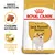 Sachet Royal Canin Adult Jack Russell Terrier, croquette sur-mesure, complexe muscles et vitalité, illustration d’un chien Jack Russell Terrier sur l’emballage.
