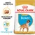 Royal Canin Puppy Boxer tørfoder, tekst: BREED NUTRITION, Skræddersyet foderpille, Støtte til immunforsvaret. Billede af foderpille og hundehvalp på posen. Royal Canin Puppy Boxer tørfoder, tekst: BREED NUTRITION, Skræddersyet foderpille, Støtte til immunforsvaret. Billede af foderpille og hundehvalp på posen.