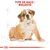 Type de race : Bulldog, illustration d’un chiot bulldog assis avec croquis en arrière-plan et bandeau rouge Royal Canin en bas de l’image.