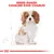 Breed range: Cavalier King Charles shown above a drawing of the breed, indicating suitability for this specific dog type.