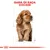 GAMA DE RAÇA: COCKER em letras vermelhas acima de ilustração de um cão Cocker castanho, com linhas de esboço à volta do corpo. Logótipo Royal Canin visível na parte inferior. GAMA DE RAÇA: COCKER em letras vermelhas acima de ilustração de um cão Cocker castanho, com linhas de esboço à volta do corpo. Logótipo Royal Canin visível na parte inferior.