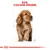 Illustratie van een Cocker Spaniel met rode tekst bovenaan: 'Ras: Cocker Spaniel'.