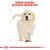 Royal Canin Golden Retriever Puppy