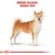 Royal Canin Shiba Inu Adult
