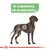 Illustratie van een hond met tekst: 'Ter ondersteuning van de spijsvertering'.