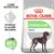 ROYAL CANIN DIGESTIVE CARE MAXI, améliore la qualité des selles, résultats prouvés jusqu’à 97 % de selles de qualité optimale, sac avec image d’un grand chien.
