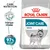 Royal Canin Joint Care Maxi hundfoder. Text: Främjar rörelse, bevisade resultat 97 % nöjda ägare efter 28 dagar. Bild på hund och förpackning. Royal Canin Joint Care Maxi hundfoder. Text: Främjar rörelse, bevisade resultat 97 % nöjda ägare efter 28 dagar. Bild på hund och förpackning.
