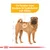 Illustration av hund med text: För hundar med tendens till hudirritation och klåda. Cirkulär markering på hundens sida.