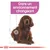 Texte : Dans un environnement changeant. Illustration d’un chien assis avec schémas techniques et symbole circulaire sur le flanc. Marque visible en bas de l’image.