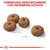 Cuatro croquetas redondas, diámetro aprox. 1 cm, con texto: Formulado específicamente con nutrientes activos. Cuatro croquetas redondas, diámetro aprox. 1 cm, con texto: Formulado específicamente con nutrientes activos.