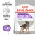 Royal Canin Sterilised Mini, mantiene el peso ideal, resultados probados: -14 % de calorías. Imagen de un perro pequeño en el envase.