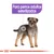 Texto: Para perros adultos esterilizados, sobre imagen de perro pequeño de pelo corto. El texto indica el público objetivo del producto.