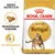 ROYAL CANIN ADULT Bengal kattefoder, billede af foderpille, tekst: Skræddersyet foderpille, Fordøjelsesevne, BREED NUTRITION, billede af bengalkat på posen