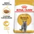 Pachet Royal Canin Adult British Shorthair, imagine cu o pisică gri, text: Crochete individualizate, Mușchi tonifiați, BREED NUTRITION.