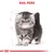 Illustratie van een Perzische kat met tekst 'RAS: PERS' erboven, technische schetslijnen op de achtergrond. Merk Royal Canin zichtbaar onderaan.