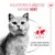 Royal Canin Light Weight Care AirLift Mousse Royal Canin Light Weight Care AirLift Mousse