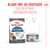 Royal Canin Care Light Weight tør- og vådfoder, Bemærk: blanding for optimal fodringsoplevelse, 90% af kattene opnåede en sund vægt på 8 uger. Royal Canin Care Light Weight tør- og vådfoder, Bemærk: blanding for optimal fodringsoplevelse, 90% af kattene opnåede en sund vægt på 8 uger.