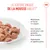 Royal Canin Appetite Control Care Mousse AirLift
