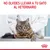 NO OLVIDES LLEVAR A TU GATO AL VETERINARIO. Imagen de un gato en una mesa con una persona vestida de bata blanca detrás. Logotipo de Royal Canin en la esquina inferior derecha.