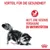 Vorteil für die Gesundheit: Hilft, eine gesunde Verdauung zu unterstützen. Bild einer Katze und Symbol für Verdauung.