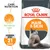 Royal Canin Hair & Skin kattefoder, tekst: CARE NUTRITION, Skinnende pels, Dokumenteret effekt i 21 dage. Billede af langhåret kat på posen. Royal Canin Hair & Skin kattefoder, tekst: CARE NUTRITION, Skinnende pels, Dokumenteret effekt i 21 dage. Billede af langhåret kat på posen.