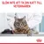 Text: GLÖM INTE ATT TA DIN KATT TILL VETERINÄREN. Bild på katt hos veterinär, Royal Canin-symbol synlig längst ner.