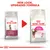 Royal Canin Exigent cat food old and new packaging side by side. Text above: New look, upgraded formula. Left pack: Exigent 33. Right pack: Feline Preference Aroma Exigent.